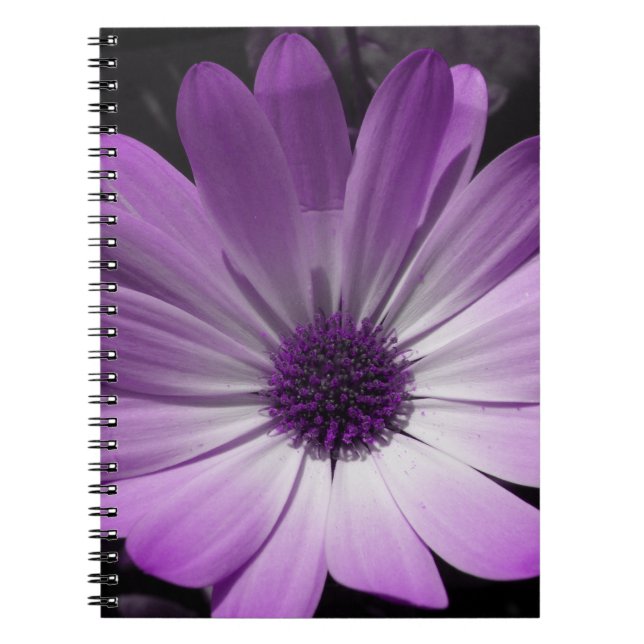 Carnet à fleurs pourpre (Devant)