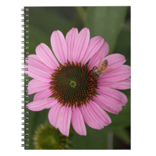 Carnet Abeille à Miel sur Fleur en Cône