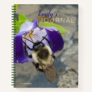 Carnet Abeille affairée et fleur violette