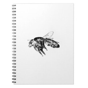 Carnet Abeille d'insectes noir