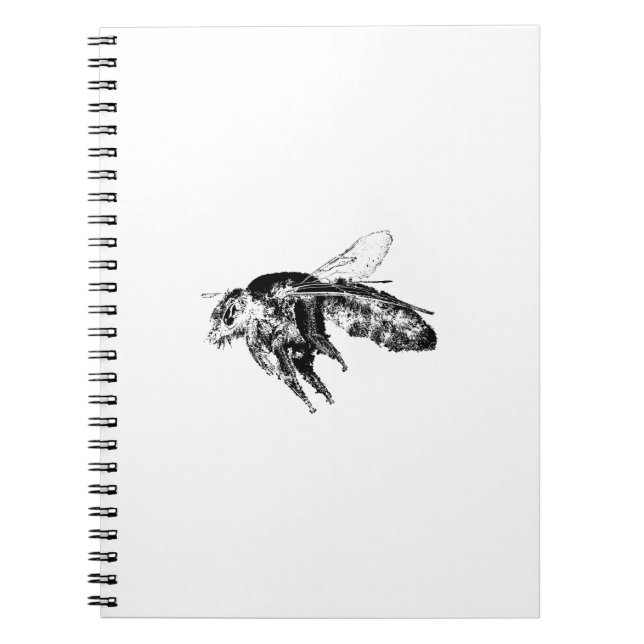 Carnet Abeille d'insectes noir (Devant)