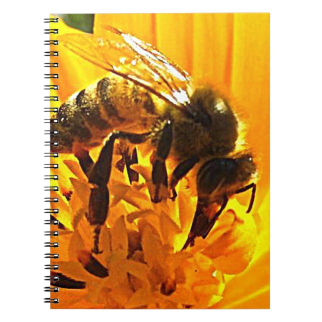 Carnet Abeille sur une fleur (Devant)