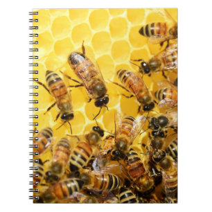Carnet Abeilles de miel sur le peigne de miel