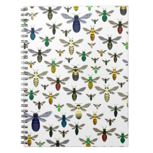Carnet Abeilles indigènes colorées