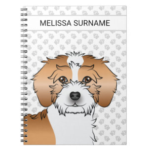Carnet Abpricot Parti-color Mini Goldendoodle