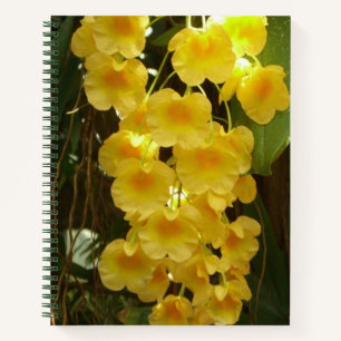 Carnet Accrocher les orchidées jaunes Fleurs tropicales