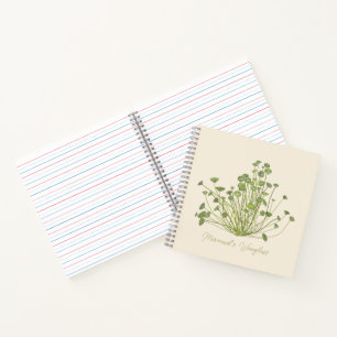 Carnet Acetabularia dessinée à la main
