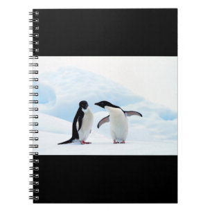 Carnet Adelie Penguins