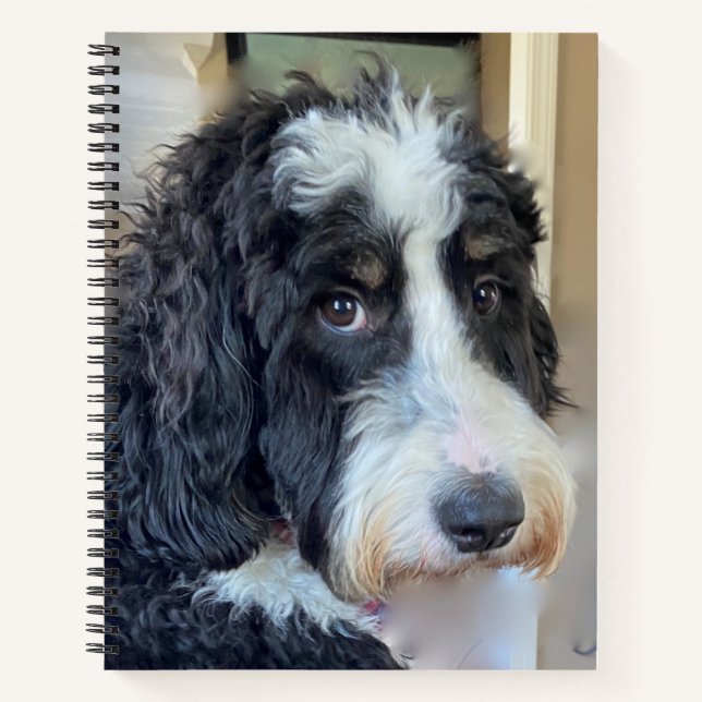 Carnet Adorable Bernedoodle (Devant)