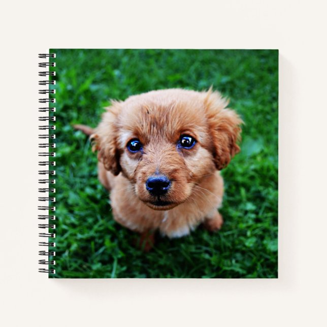 Carnet Adorable Chiot sur la pelouse Photo (Devant)