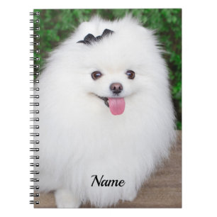 Carnet Adorable Fluffy White Chien Chien Chien