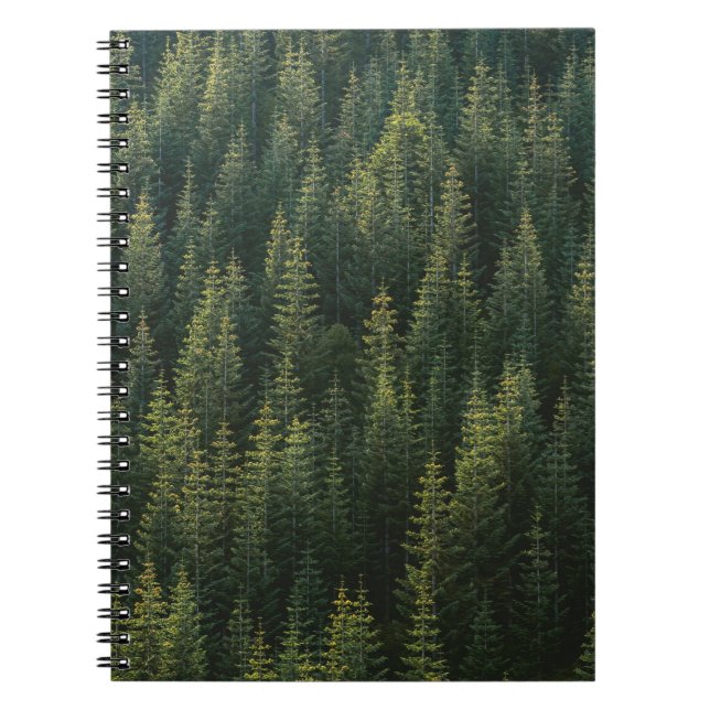 CARNET AERIAL PHOTOGRAPHY OF FOREST (Devant)