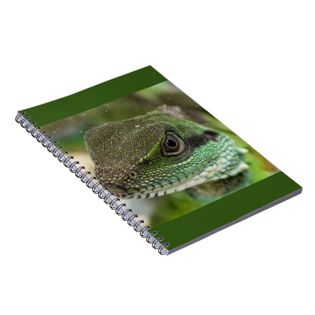 Carnet Agama, lézard (Côté Droit)