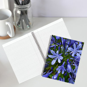 Carnet Agapanthus Fleur Bleue du Nil Floral