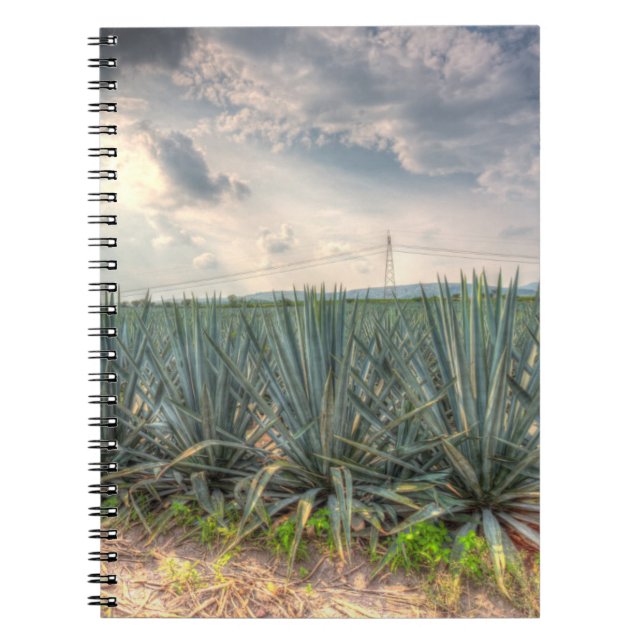Carnet Agave bleu (Devant)
