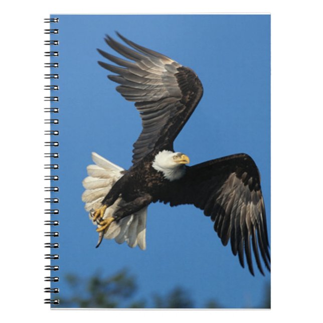 Carnet Aigle (Devant)