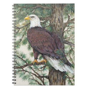 Carnet Aigle à tête blanche