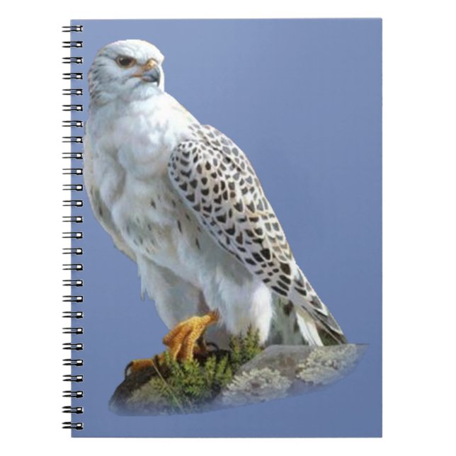 Carnet Aigle blanc (Devant)