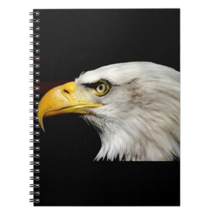 Carnet Aigle de Bald