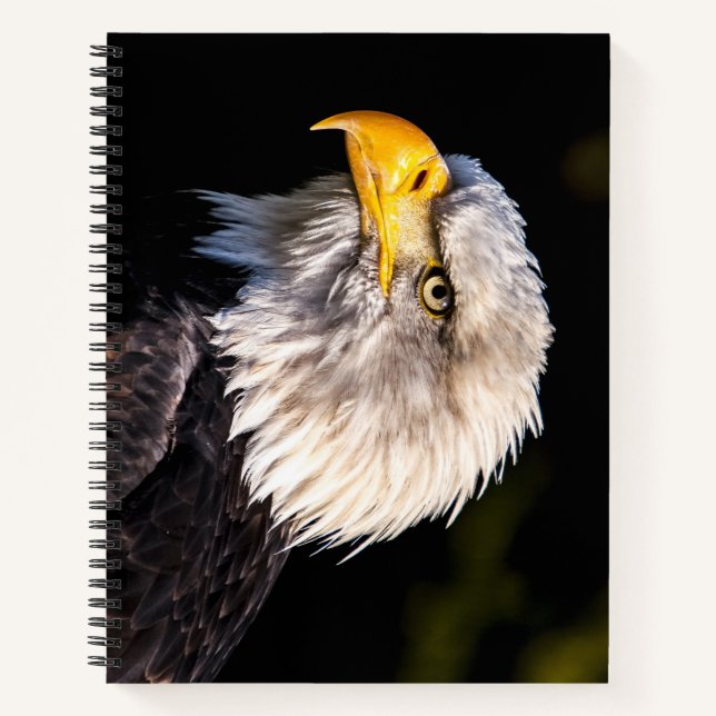 Carnet Aigle de Bald (Devant)
