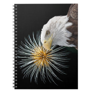 Carnet Aigle et feux d'artifice