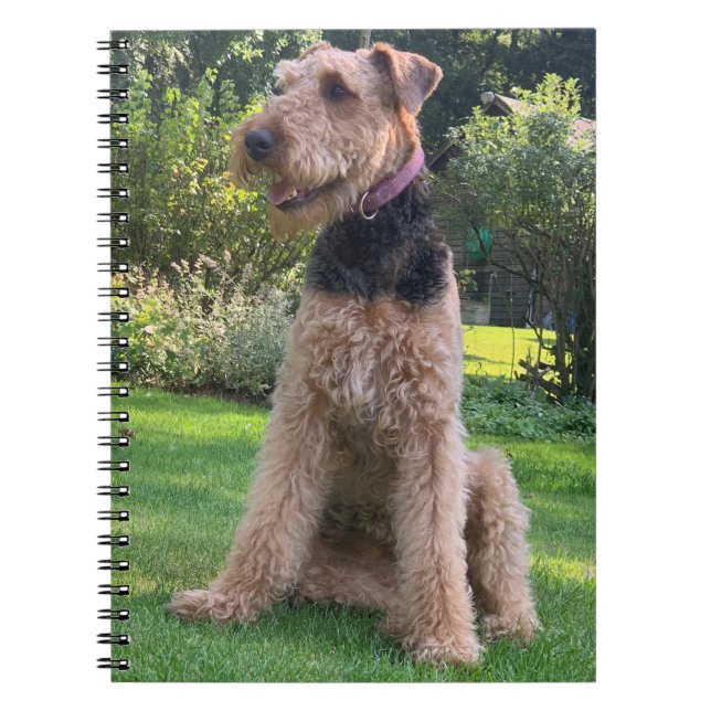 Carnet Airedale Terrier (Devant)