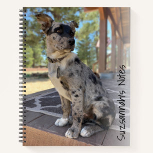 Carnet Ajouter Votre Photo Adorable Chabot Chien Espace