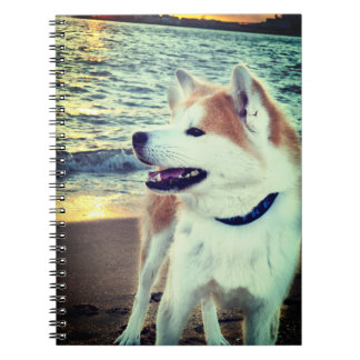 Carnet Akita