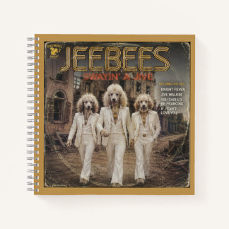 Carnet Album Jeebees : une parodie