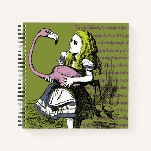Carnet Alice au pays des merveilles (Devant)