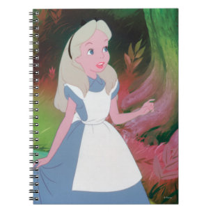 Carnet Alice au pays des merveilles Film fixe 1