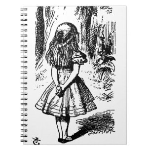 Carnet Alice au pays des merveilles - illustration