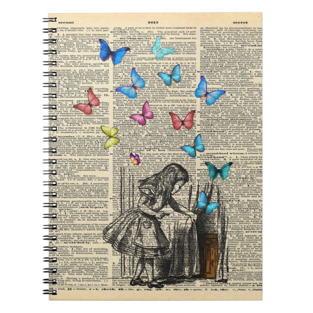 Carnet Alice Au Pays Des Merveilles - Laissons Commencer  (Devant)