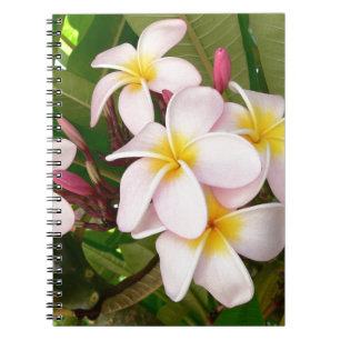 Carnet Aloha le Frangipani hawaïen fleurit douche
