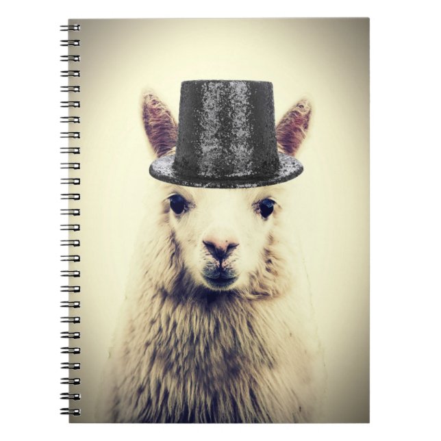Carnet Alpaca dans un Tophat (Devant)