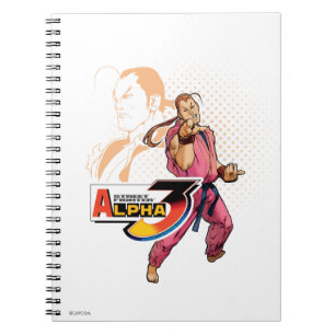 Carnet Alpha 3 Dan 2 de Street Fighter