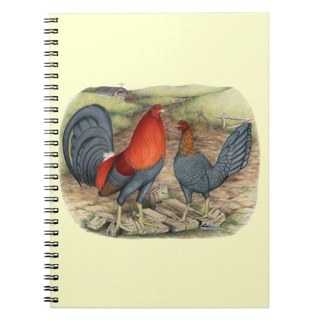 Carnet American Game Blue Reds (Devant)
