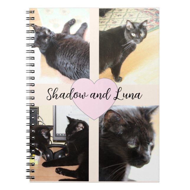 Carnet Amis Animaux De Compagnie modèles photo Avec Des N (Devant)