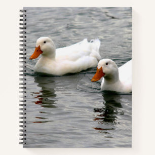 Carnet Amis pour la vie