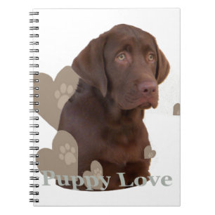 Carnet Amour de chiot de laboratoire de chocolat