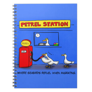 Carnet Amusant goéland de mer petrel caricature humour