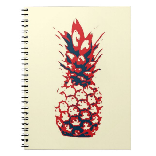 Carnet Ananas (Devant)