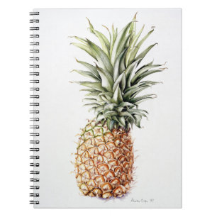Carnet Ananas 1997