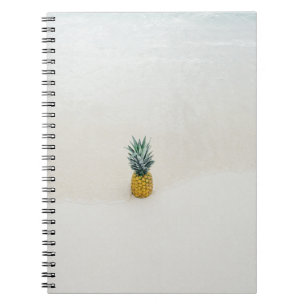 Carnet Ananas unique sur la plage