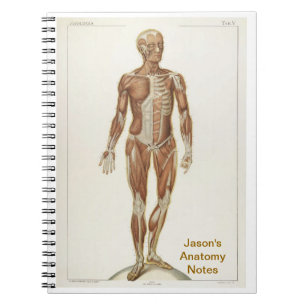 Carnet Anatomie