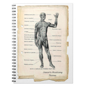 Carnet Anatomie antérieure