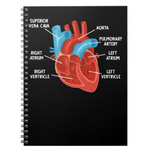 Carnet Anatomie cardiaque Cardiologie de l'éducation