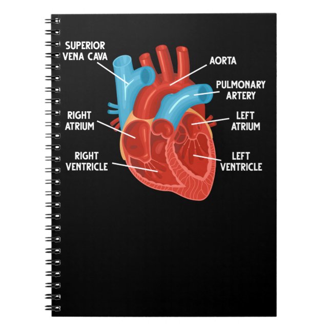 Carnet Anatomie cardiaque Cardiologie de l'éducation (Devant)