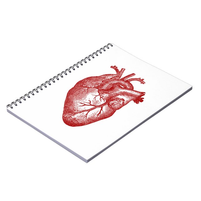 Carnet Anatomie cardiaque vintage (Côté gauche)