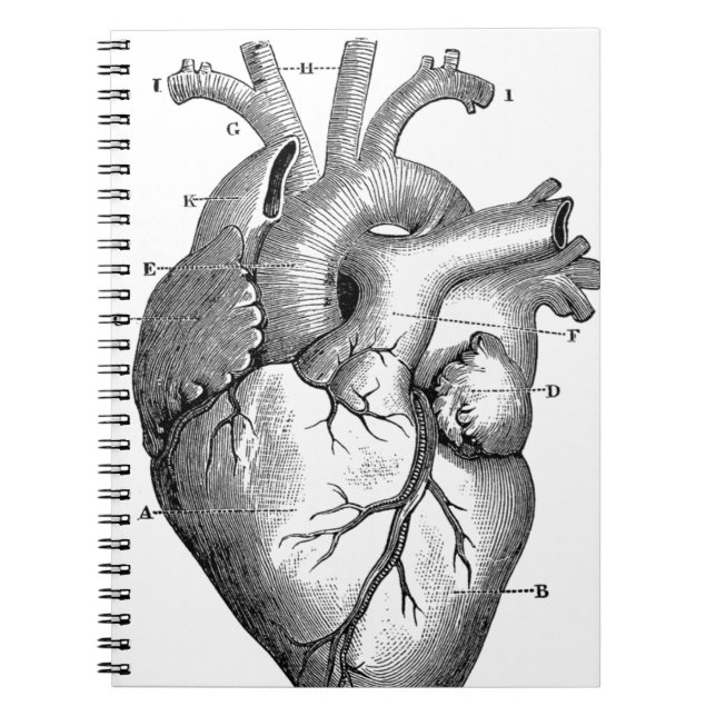 Carnet Anatomie cardiaque vintage | Personnalisable (Devant)